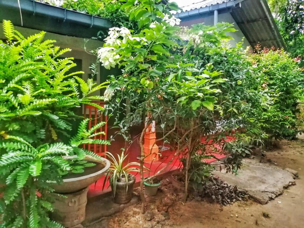 Senith Guest House Mirissa Zewnętrze zdjęcie