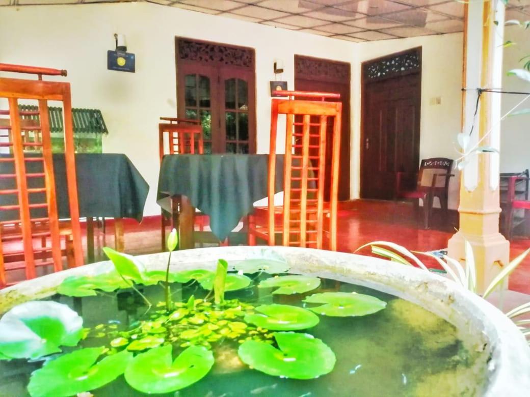 Senith Guest House Mirissa Zewnętrze zdjęcie